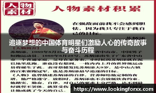 追逐梦想的中国体育明星们激励人心的传奇故事与奋斗历程